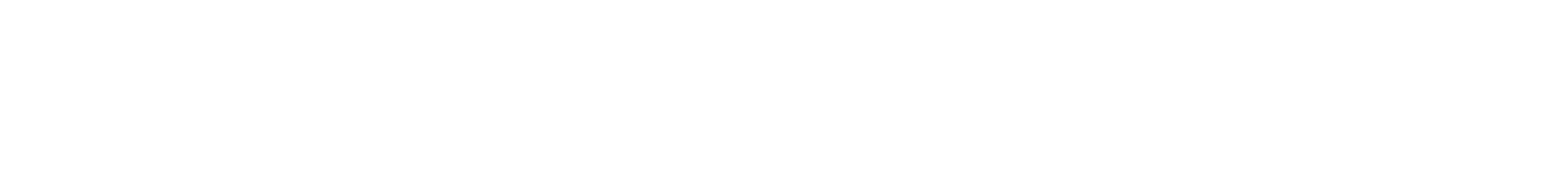 Prevencionistas Chile